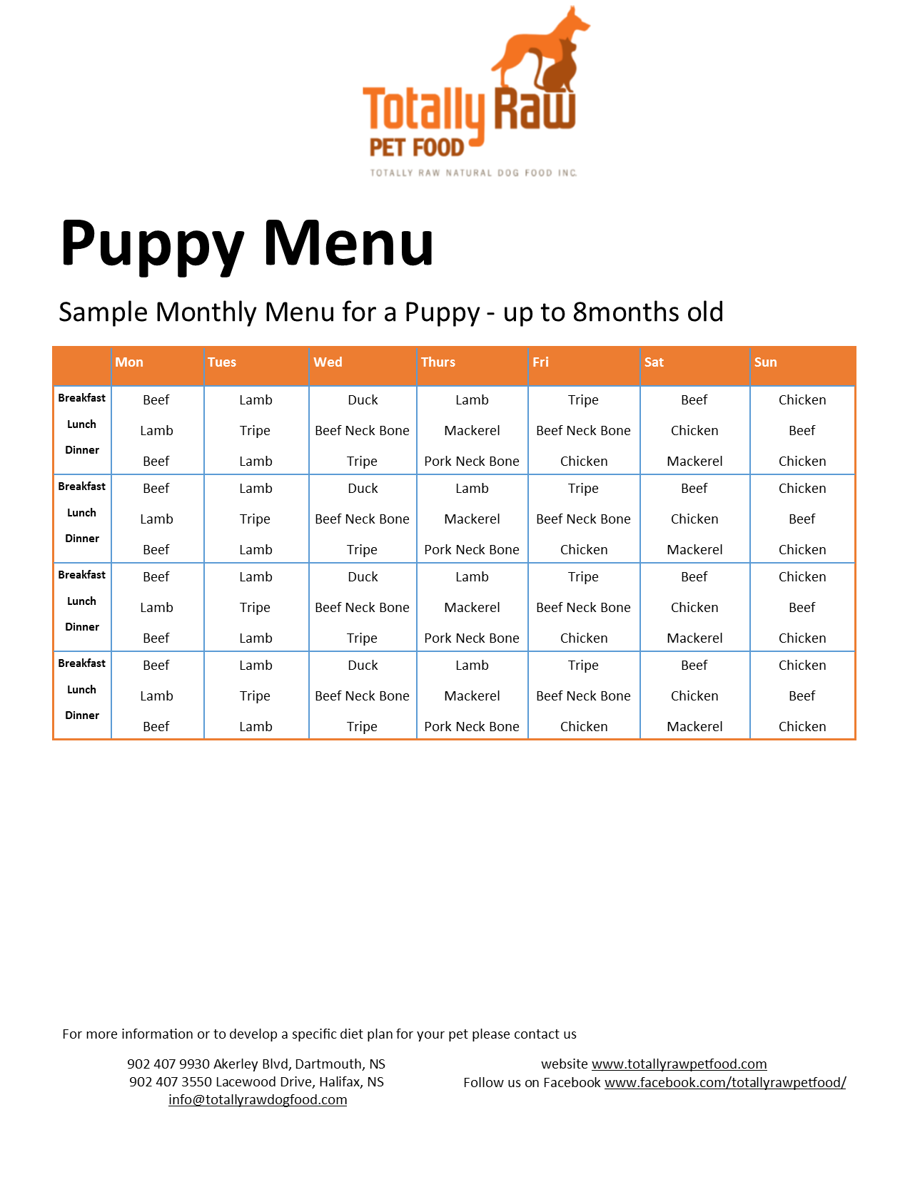 pets at home feeding time
