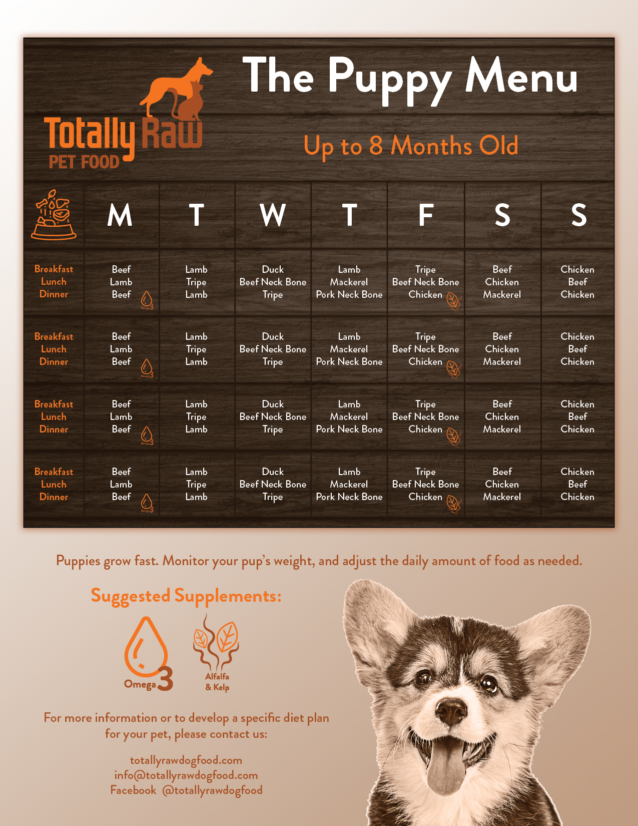 Puppy Sample Monthly Menu